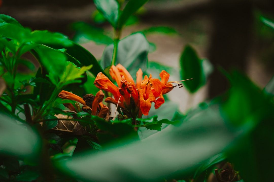 The Role of Jekyll Themes in Modern Website Development