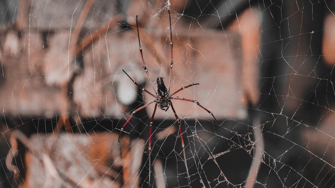How JekyllUp Empowers Non-Tech Entrepreneurs to Build Their Websites