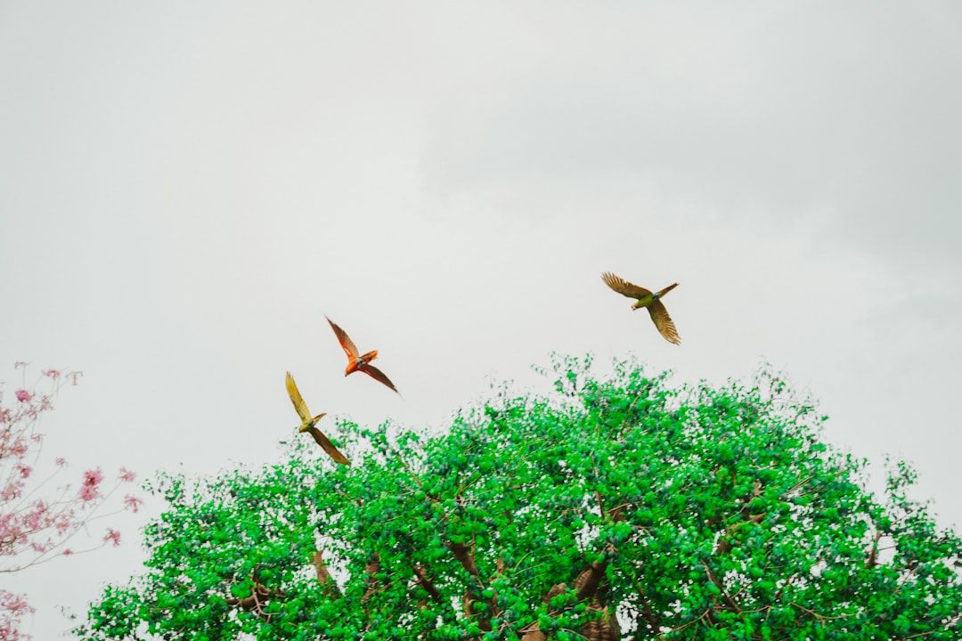 Can JekyllUp Themes Boost Your SEO Strategy?